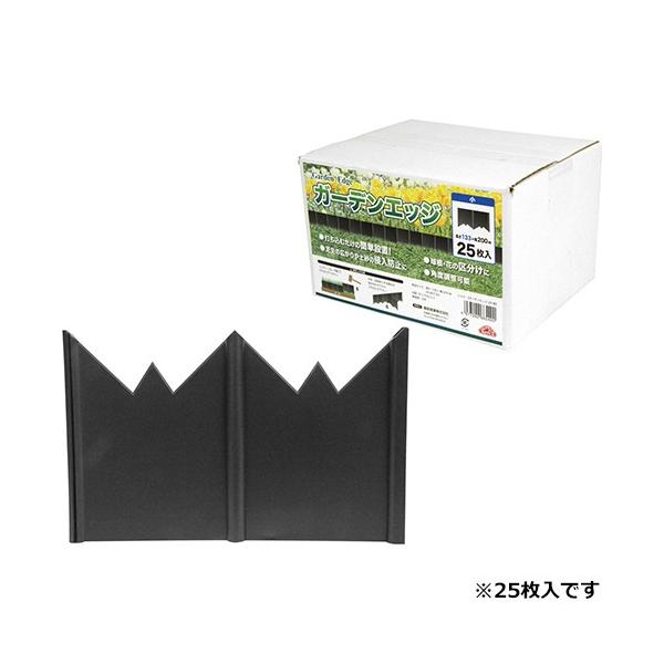 ZteB[3 K[fGbW 25  i8949948j 敪A sEԕis