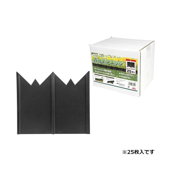 ZteB[3 K[fGbW 25  i8949964j 敪A sEԕis