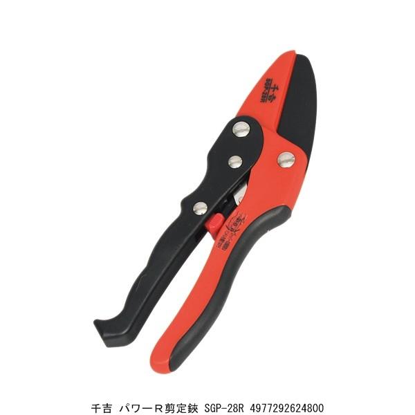 g p[R SGP-28R i9029419j 敪A sEԕis