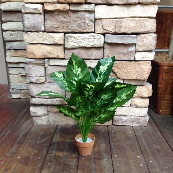 人工観葉植物 ディフェンバキア 0778 高さ約３８cm 送料別 通常配送 Diyホームセンター ハンズマン 通販 Yahoo ショッピング