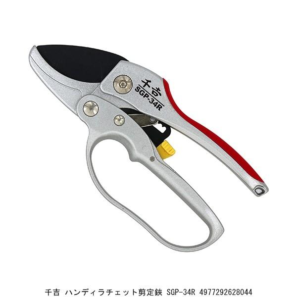 g nfB`Fbg SGP-34R i9099867j 敪A sEԕis