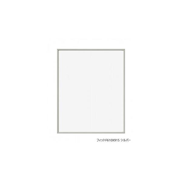 他サイト： A.P.J.　フィットF610X915 シルバー　0020195333の商品画像