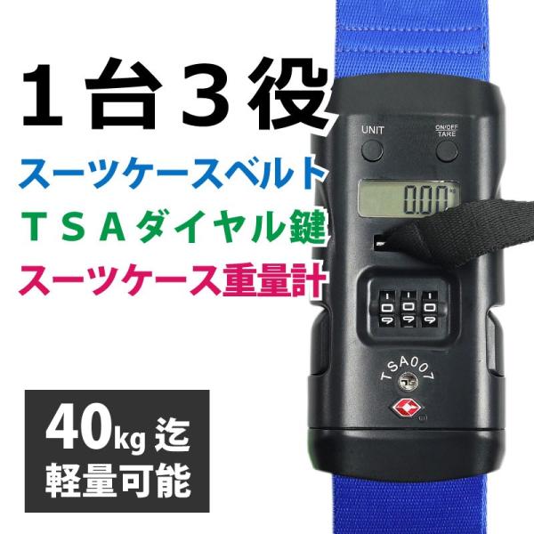 X[cP[Xxg TSAbN 3_Cdʌvt /u