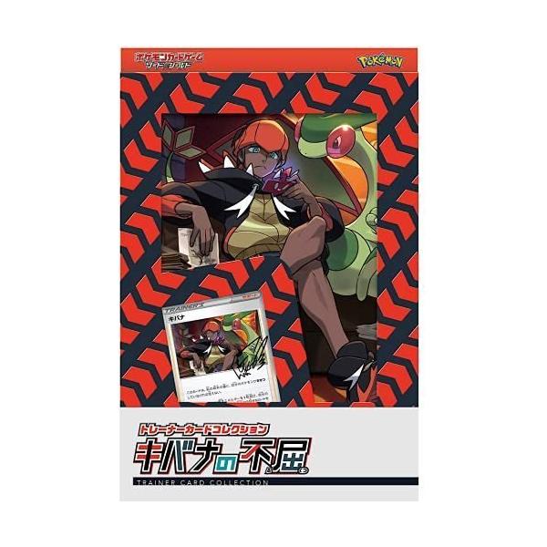 PSA10 キバナ トレーナーカードコレクション キバナの不屈 プロモ② haneuma_kibananohukutu