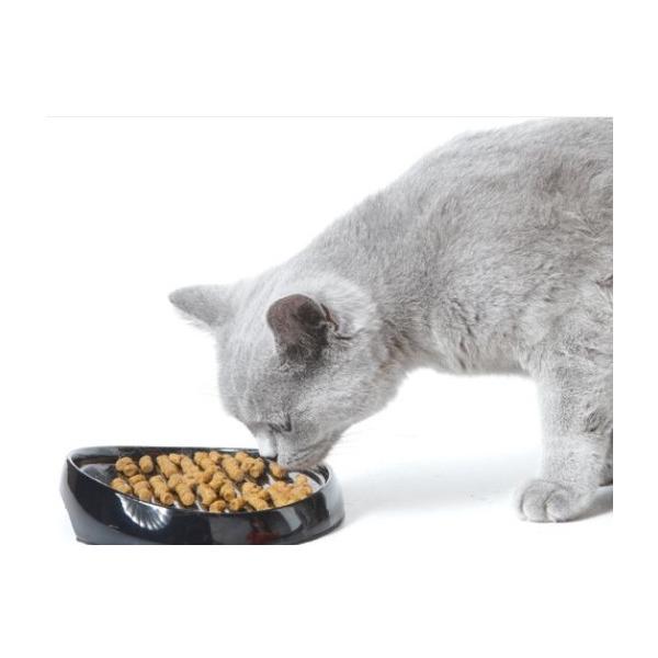 フードボウル SAVIC ベルギーサヴィッチ社製 猫ちゃん用早食い防止フードボウル ウィスカー2 早食い 防止 皿 陶器