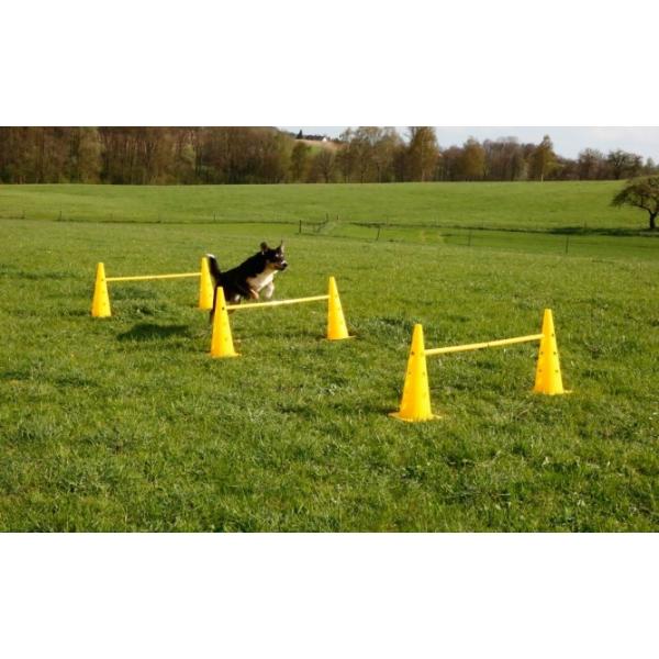 犬用 アジリティグッズ KERBL ケアブル ドッグアジリティ コーンハードルセット ドッグラン