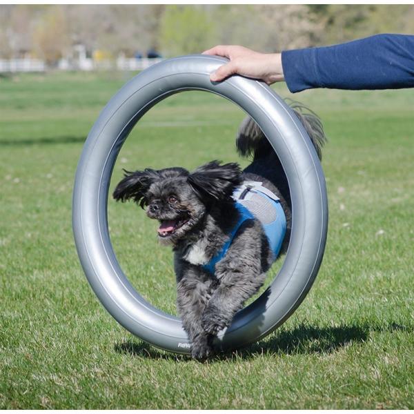 犬用 フィットネス用品 FitPAWS サーキュラープロダクトホルダー グレー バランス器具用ホルダー
