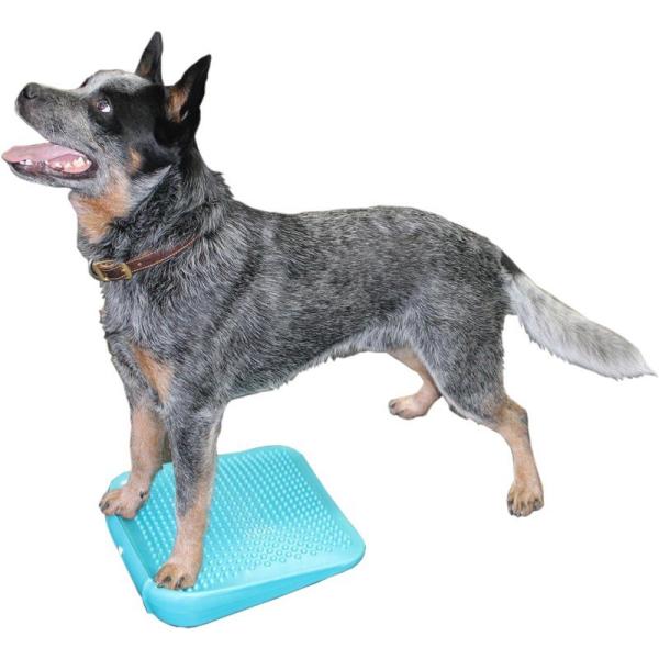 FitPAWSギアは、精神的にも肉体的にも同時に犬を運動させるのに最適な方法です。犬のフィットネスは、体調を整えることでも、体調を維持するためでも、行動を良くするためでも重要です。 FitPAWS製品は、自宅で、デイケア施設またはドッグジム...