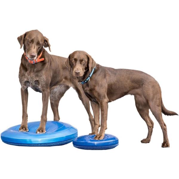 犬用競技用 アジリティ用品 アメリカFitPAWS バランスディスク35.5cm