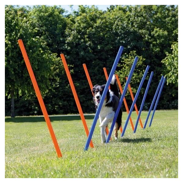 屋外で使えるアジリティグッズ！プラスチックでできています。いろんな使い方ができるポールセットです。１２本のポールからなっています。２列にしたり１列にしたりと自由にお使いいただけます。付属のバッグに小さくたたんで持ち運びできます。。無理しない...