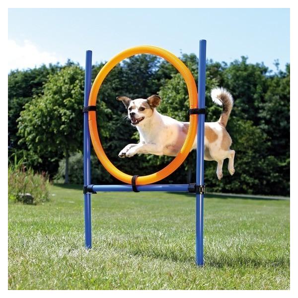 屋外で使える小型アジリティグッズ！プラスチックでできています。セットは、2つのポスト、1つのリング、2本のクロスバー、4つの支えから成ります。わんちゃんに合わせて高さも調節可能。付属のバッグに小さくたたんで持ち運びできます。。無理しない程度...