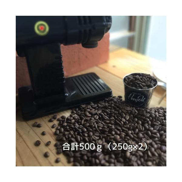 コーヒー豆 コーヒー 珈琲豆 希少 ドミニカAA バラオナ 250g×2 限定