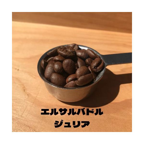コーヒー豆 コーヒー 珈琲豆 高品質 Qグレード エルサルバドルSHB ジュリア 100g×２ 自家焙煎