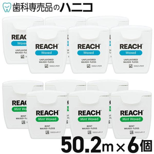 プロフェッショナルデンティストリー = Professional Dentis… プロフェッショナルデンティストリー STEP 1 Data Gathering