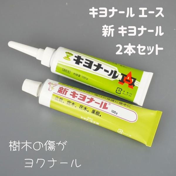 商品名 キヨナール エース    (園芸用傷口保護剤)主成分 酢酸ビニル樹脂、その他 内容量 100ｇ新キヨナール  内容量 100ｇ 人体の消毒にも使われる、アルコール成分配合