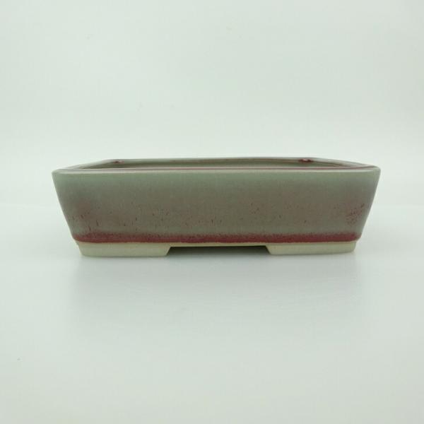 青香　長方　盆栽鉢 盆栽鉢 青香 小型 長辺 約14.5cm 長方鉢 釉薬 現品 : はニわ株式会社
