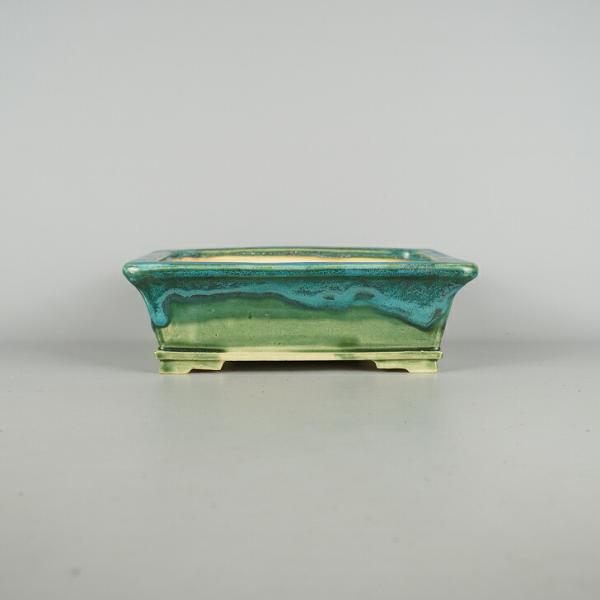 盆栽鉢 桂雲 福田桂雲 中型 長辺 約23.5cm 長方鉢 釉薬 新品 数量物