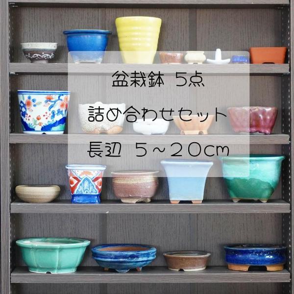 福袋 盆栽鉢 5点 詰め合わせ 小型 長辺 約5cm〜20cm 中古鉢