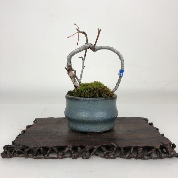 下記、商品説明をご覧ください。スマホの場合は商品情報をもっと見るを押してください。