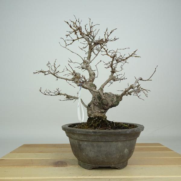 下記、商品説明をご覧ください。スマホの場合は商品情報をもっと見るを押してください。