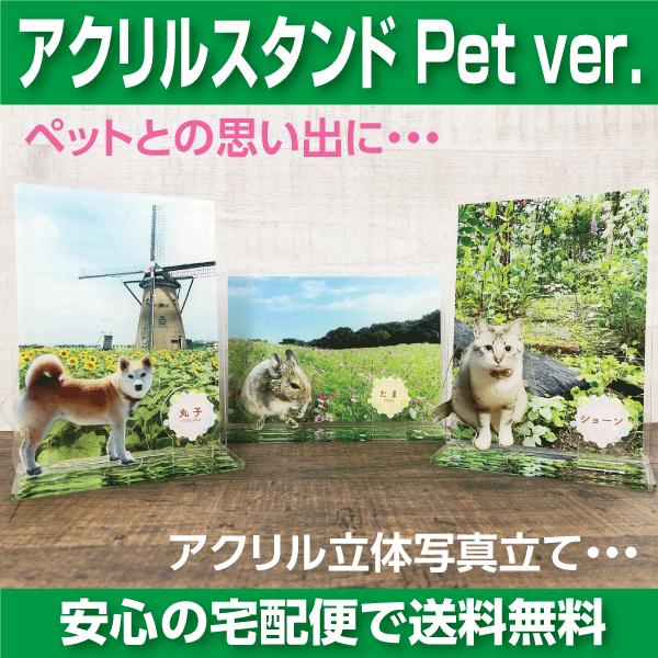 ◆アクリル厚　3ｍｍ◆背景と台座　規格サイズ（横）　W140　H100　D30　（ｍｍ）　　　　　　　　　　　    （縦）　W100　H140　D55　（ｍｍ）◆ペットの規格サイズ　30cm2◆名札規格サイズ　W27ｍｍ　　H37ｍｍーー...