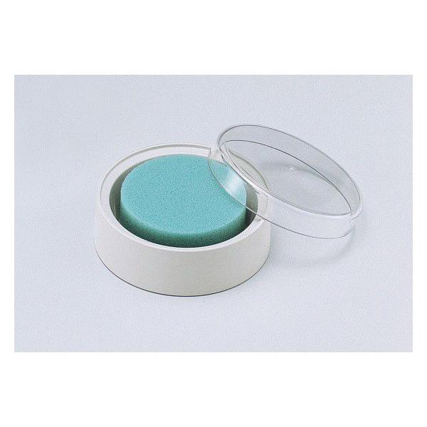 yV`n^zV`n^ pX|W RۍܓMSK-1EC