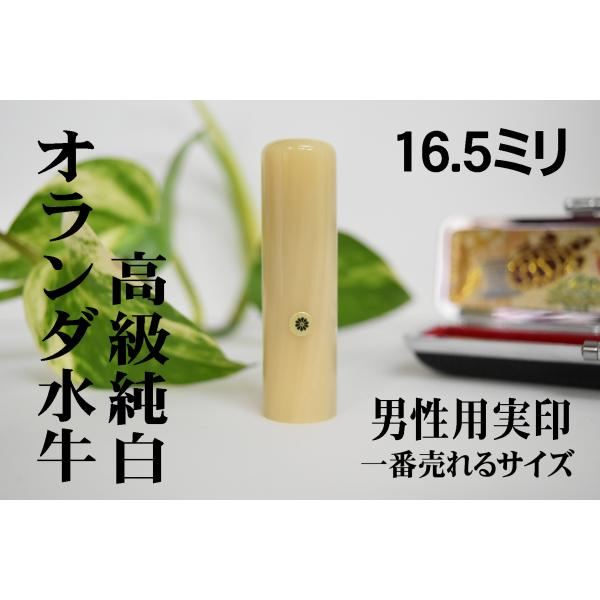 男性用実印】16.5ミリ オランダ水牛(純白)芯持ち ケース付 送料無料
