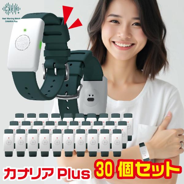 LIHIT LAB. 『大量注文・30個セット』 カナリアPlus カナリア