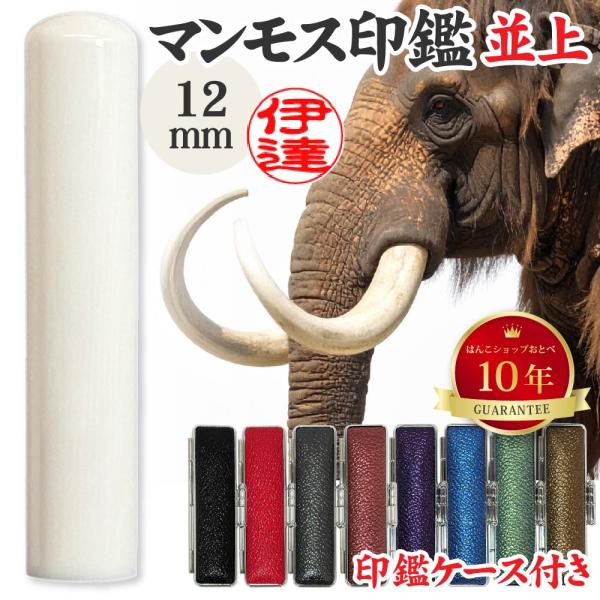 はんこ マンモスの牙 60mmx20mm ２本 認印 マンモス 並上 印鑑ケース付 認め印 12mm 12ミリ ハンコ おしゃれ