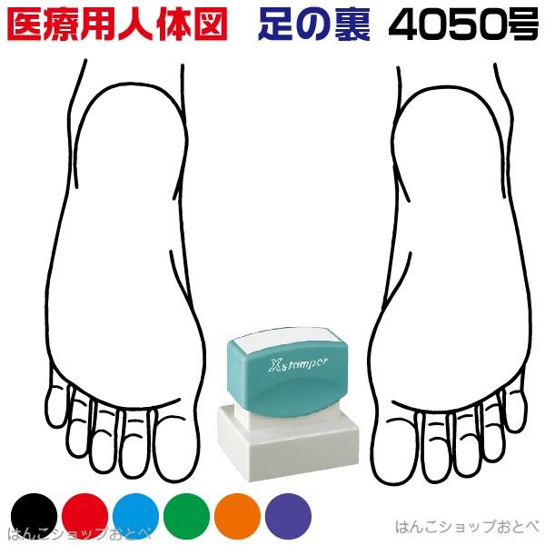 l̐} V`n^ ×pl̐} ̗ p^ 4050  X^v w{Bx Je a@  ͂  nR