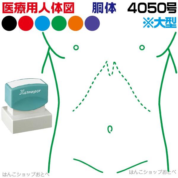 l̐} V`n^ ×pl̐}  p^ 4050  X^v w{Bx Je a@  ͂  nR