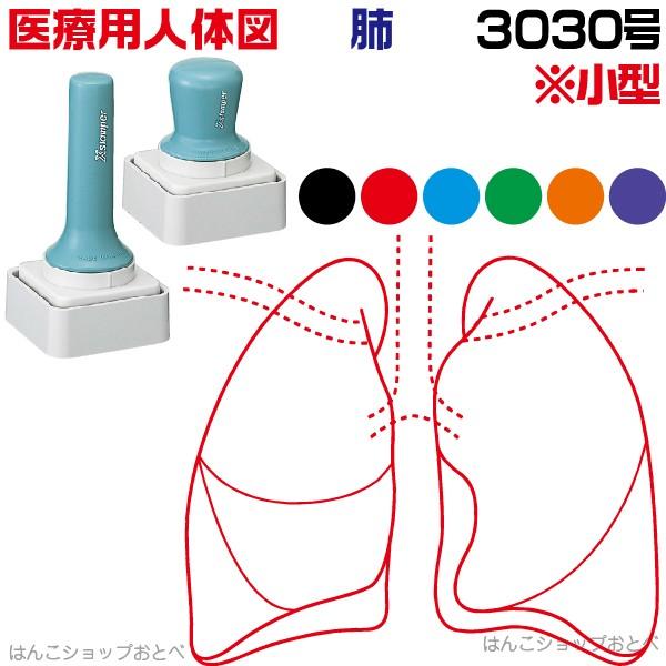 l̐} V`n^ ×pl̐} x p30  Z p^ 3030  X^v Je a@  ͂  nR