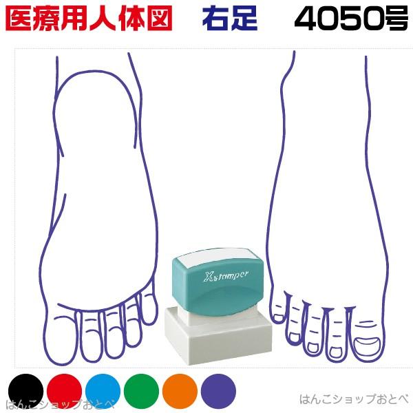 l̐} V`n^ ×pl̐} E p^ 4050  X^v w{Bx Je a@  ͂  nR