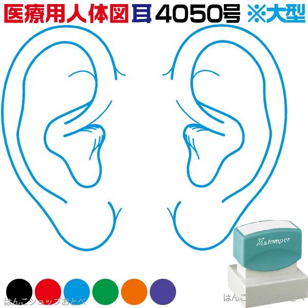 l̐} V`n^ ×pl̐}  p^ 4050  X^v w{Bx Je a@  ͂  nR