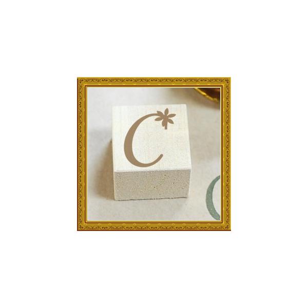  ͂ X^v CjV() ustp-123v(HK050)