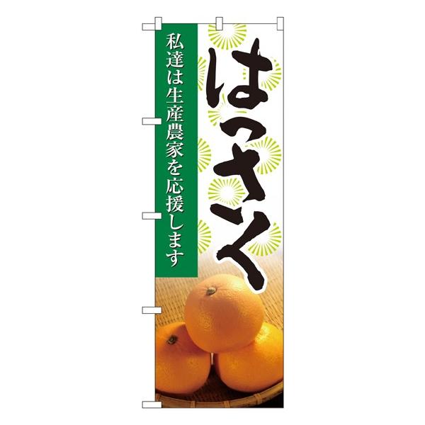 kNl ͂ ʐ^ ̂ڂ No.21984  ɐxJ^OVol.11 P083 11,000~ȏ 