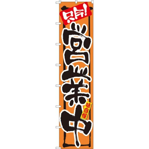 kNl  cƒ Ôڂ No.4078  ɐxJ^OVol.11 P010 11,000~ȏ 