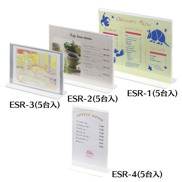 �V���r ���j���[�X�^���h esr-3 ���H�X�p�i �z�e���p�i