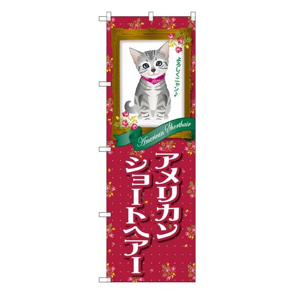 �kG�l �A�����J���V���[�g�w�A�[ �̂ڂ� GNB-2418 111 11,000�~�ȏ� ��������