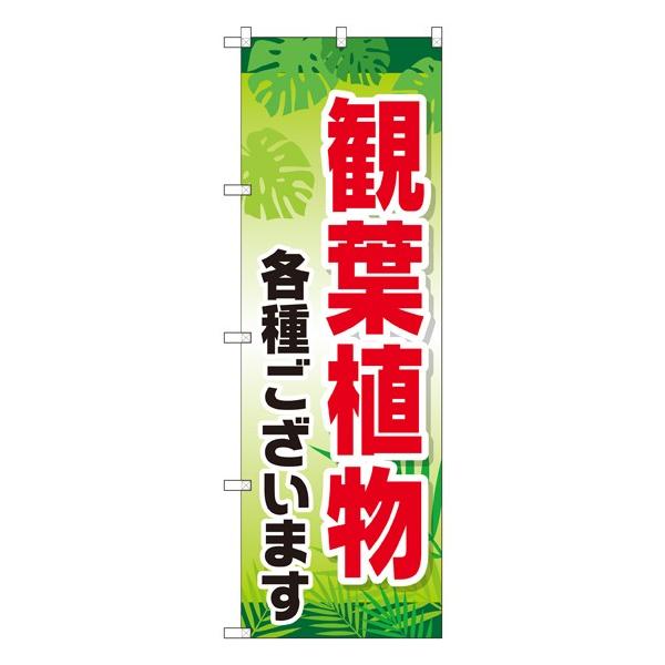 kGl ϗtAe킲܂ ̂ڂ GNB-2531 114 11,000~ȏ 