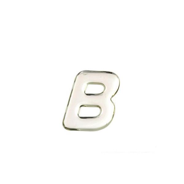 �� �V���o�[���^������ (SM35-B )HIKARI