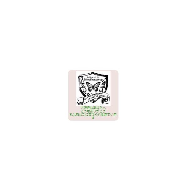�T���r�[ �C���X�g�X�^���v  �C���X�g�X�^���vLL SFM-LL04