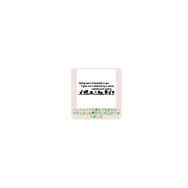 �T���r�[ �C���X�g�X�^���v  �C���X�g�X�^���vRSM SFM-RSM21