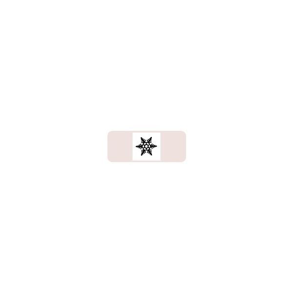 �T���r�[ �C���X�g�X�^���v  �C���X�g�X�^���vS SFM-S21