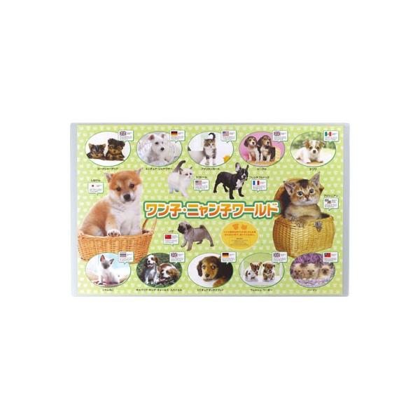 shachihata wK}bg qEjq[hX^v ͂ 11,000~ȏ 