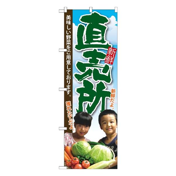 �kG�l ������ �q���ʐ^ �̂ڂ� SNB-2207 084 11,000�~�ȏ� ��������