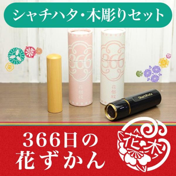u366̉ԂvV`n^ؒZbg