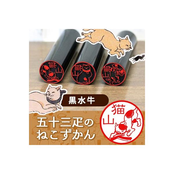 ˂̂͂񂱁u܏\OD̂˂v^Cv