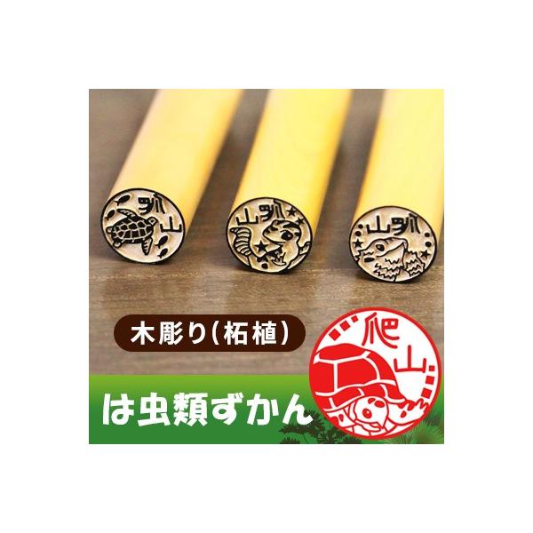 ͒ނ̈ gJQT̂͂񂱁u͒ނvؒ