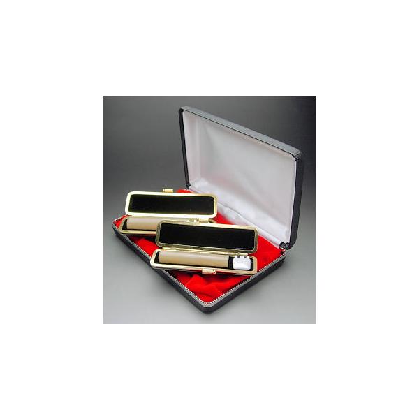 EsZbg I_icɏj15E13.5~